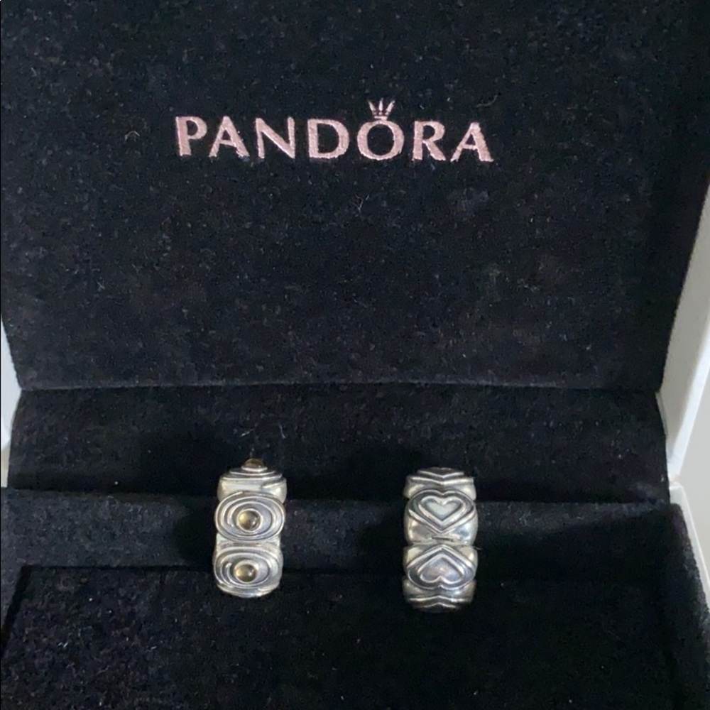 Pandora clip charms